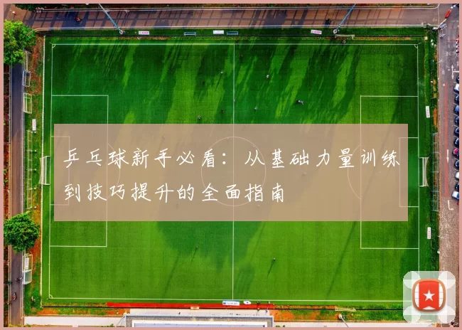 乒乓球新手必看：从基础力量训练到技巧提升的全面指南