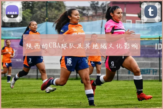 陕西的CBA球队及其地域文化影响
