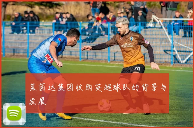 莱茵达集团收购英超球队的背景与发展