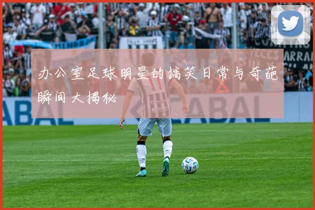 办公室足球明星的搞笑日常与奇葩瞬间大揭秘
