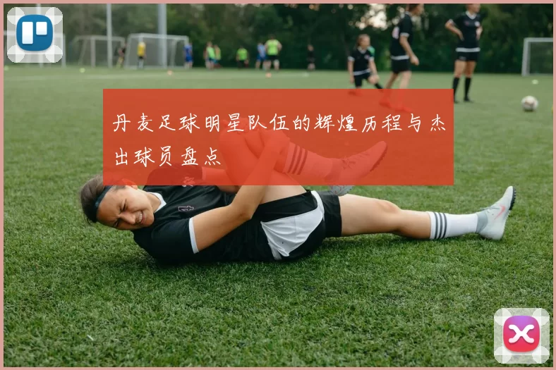 丹麦足球明星队伍的辉煌历程与杰出球员盘点