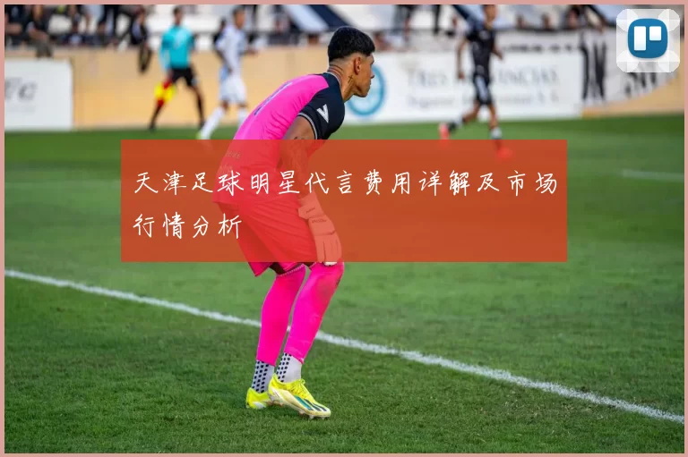 天津足球明星代言费用详解及市场行情分析