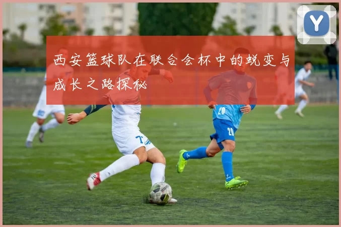 西安篮球队在联合会杯中的蜕变与成长之路探秘