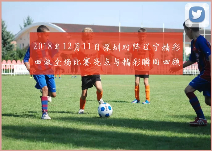 2018年12月11日深圳对阵辽宁精彩回放全场比赛亮点与精彩瞬间回顾