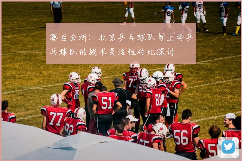 赛后分析：北京乒乓球队与上海乒乓球队的战术灵活性对比探讨