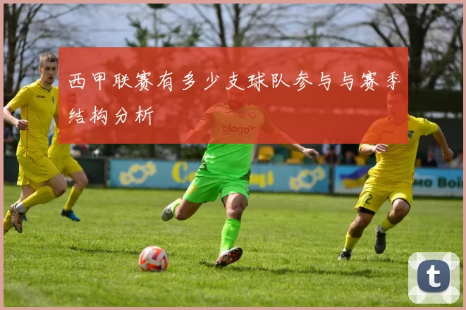 西甲联赛有多少支球队参与与赛季结构分析