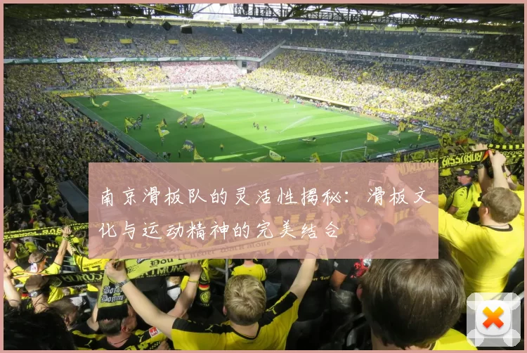南京滑板队的灵活性揭秘：滑板文化与运动精神的完美结合