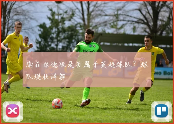谢菲尔德联是否属于英超球队？球队现状详解