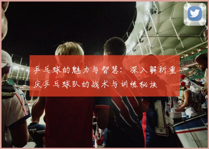 乒乓球的魅力与智慧：深入解析重庆乒乓球队的战术与训练秘诀