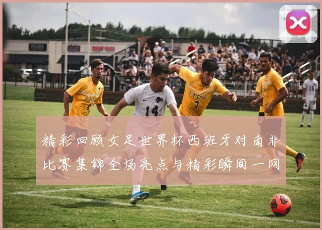 精彩回顾女足世界杯西班牙对南非比赛集锦全场亮点与精彩瞬间一网打尽
