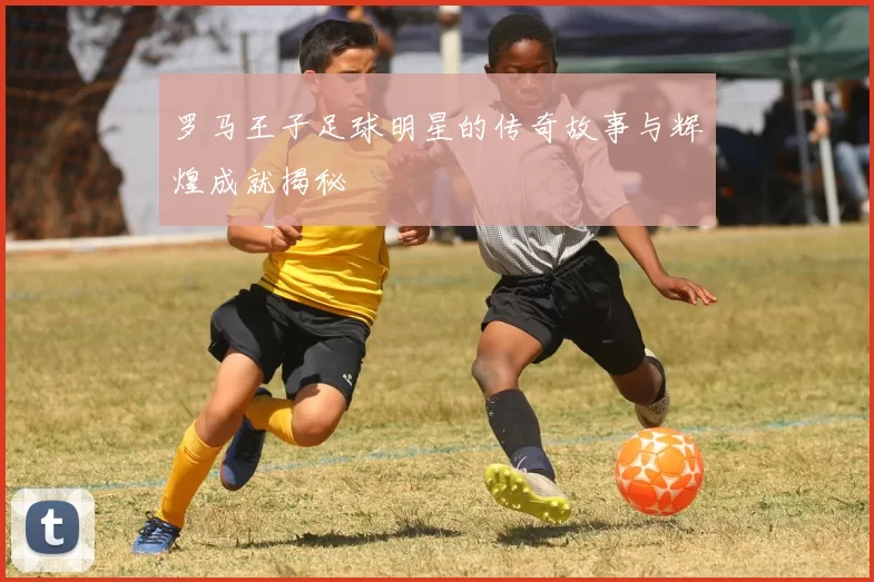 罗马王子足球明星的传奇故事与辉煌成就揭秘
