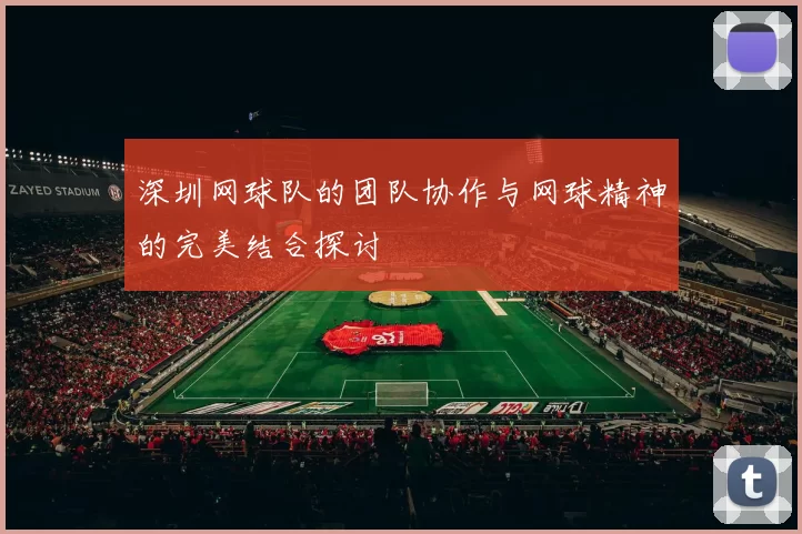 深圳网球队的团队协作与网球精神的完美结合探讨
