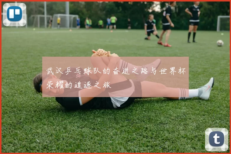 武汉乒乓球队的奋进之路与世界杯荣耀的追逐之旅