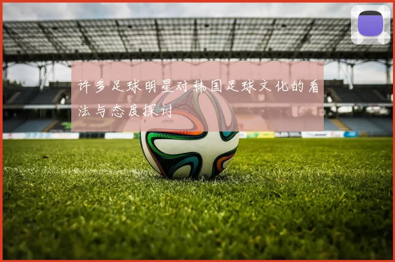 许多足球明星对韩国足球文化的看法与态度探讨
