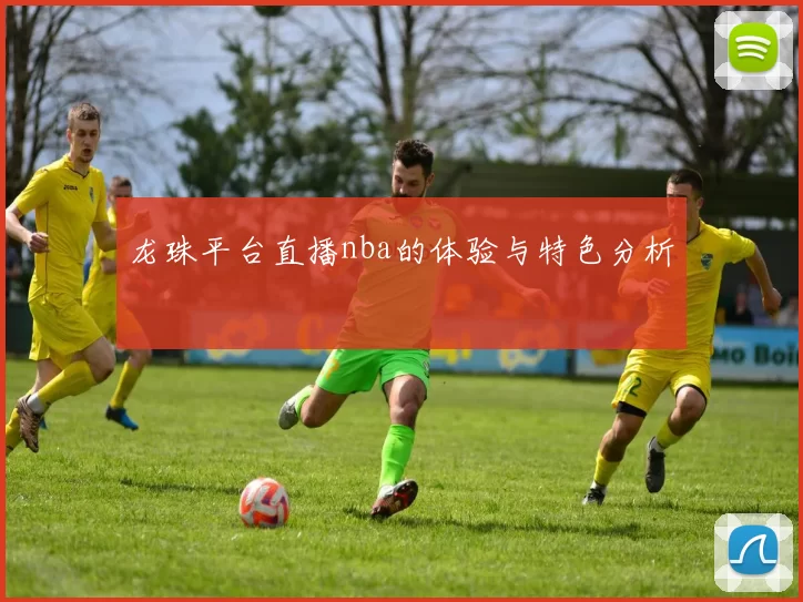 龙珠平台直播nba的体验与特色分析