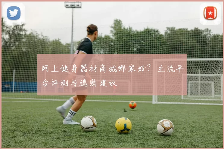 网上健身器材商城哪家好？主流平台评测与选购建议