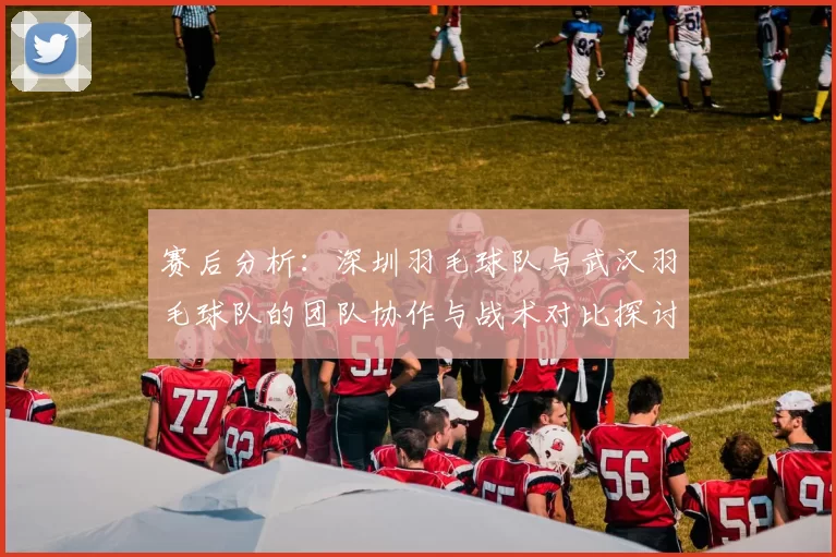 赛后分析：深圳羽毛球队与武汉羽毛球队的团队协作与战术对比探讨