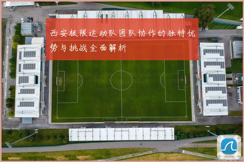 西安极限运动队团队协作的独特优势与挑战全面解析