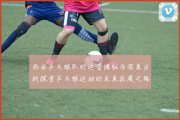 西安乒乓球队的运营揭秘与深度分析探索乒乓球运动的未来发展之路