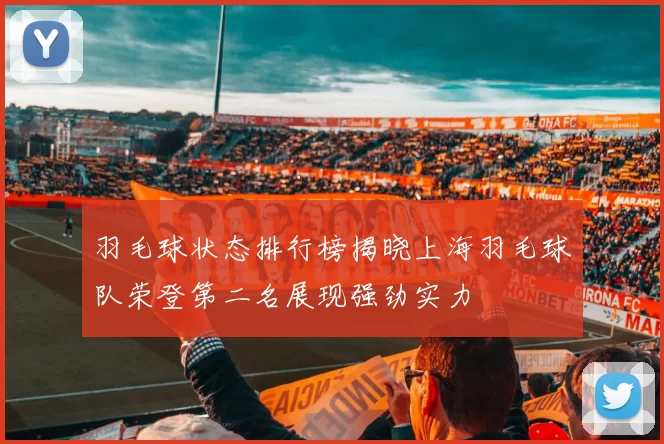 羽毛球状态排行榜揭晓上海羽毛球队荣登第二名展现强劲实力
