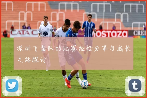 深圳飞盘队的比赛经验分享与成长之路探讨